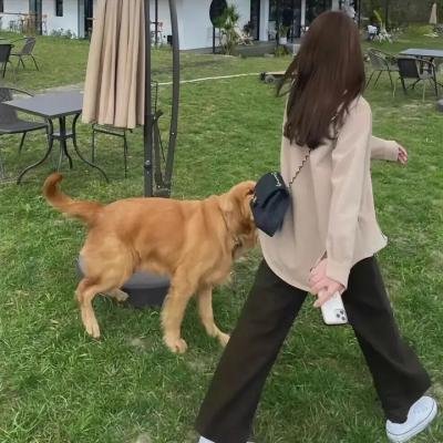 铁马金军
